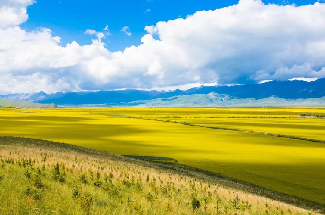 青海探秘，高原之美的神秘旅程