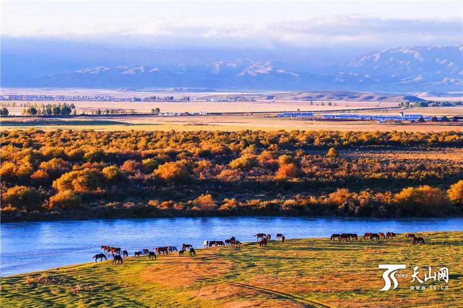 新疆之光，引领科技生活新纪元的领先高科技产品介绍