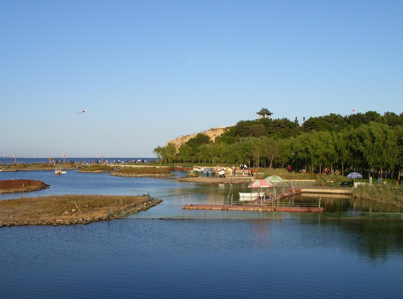 秦皇岛高科技产品引领科技潮流,开启未来生活新篇章体验